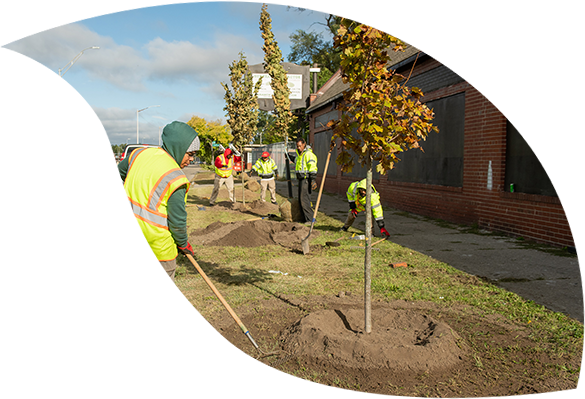 Group planting